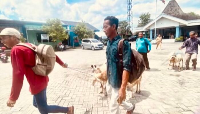 Bojonegoro Targetkan 3.325 KPM Domba Kesejahteraan 2026