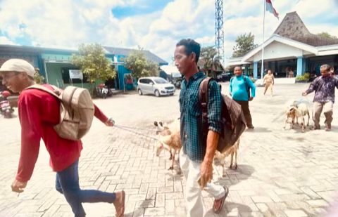 E3528E9E 9E94 4B60 A499 4E1F34F9FB31