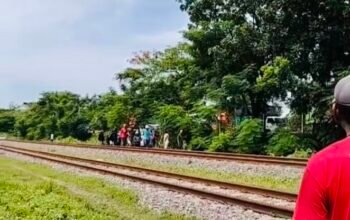 ED95BD61 772C 4C21 A400 63E82AF89814