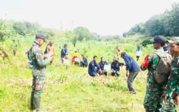 Tak Sekadar Menulis, PJI Bojonegoro Bersama TNI Turun Tangan Jaga Kelestarian Alam