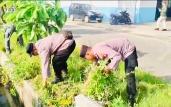 0E59D74D D467 4B5E A62A 3F8F11F52F03