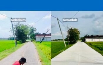 22EE23AD CAFD 440E A951 431DDDC474C9