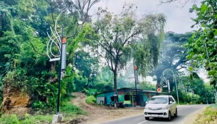 Wajah Baru Perbatasan Bojonegoro: Estetik dengan PJU Ikonik
