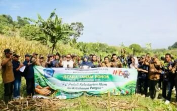 PJI Bojonegoro Gelar Aksi Tanam Pohon di Hutan Gondang