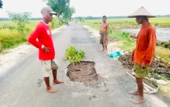 4BE0BF07 6D36 488B 838C A247A7AED587