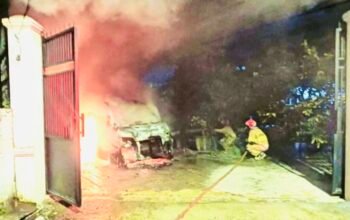 4C4F65C3 0D66 45E9 A3A8 3B3EC7D7EB3D