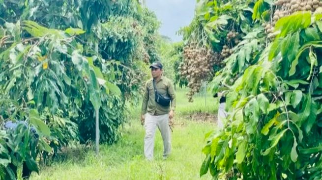 55D9B97F 071D 4D0F A56F 775D9214374C