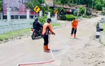 824947BC 6CDC 4756 A98C CD7C2B399313