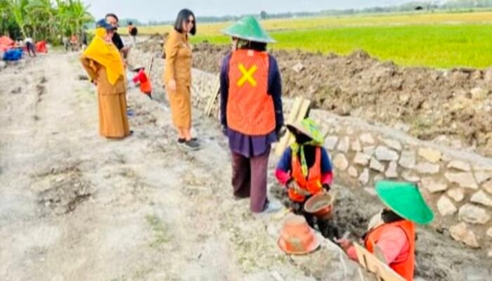 Pemkab Bojonegoro Tuntaskan 14,8 KM Jaringan Irigasi Baru