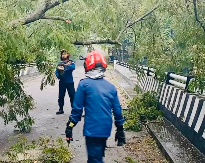 958E8744 BD30 4E79 93FD 8F75C9420716