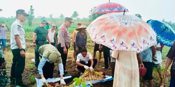 A9137338 F9AF 4E10 8FED 04E8FC0E90A9