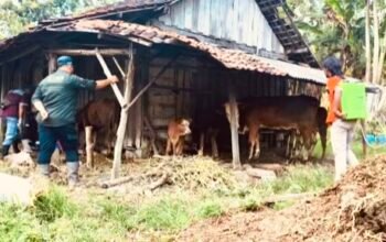 B6CED270 7242 4362 8489 EDF80E8E42E7