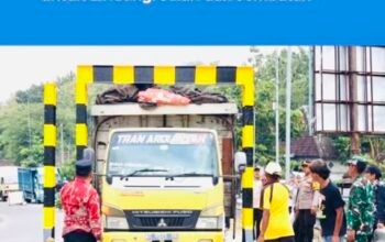 C380A710 8CC5 46C8 A489 480E02C2B609