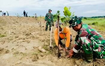 Aksi Nyata Babinsa Bojonegoro Tanam 800 Pohon di Area Waduk