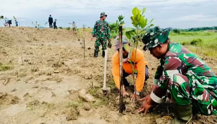 Aksi Nyata Babinsa Bojonegoro Tanam 800 Pohon di Area Waduk