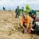 Aksi Nyata Babinsa Bojonegoro Tanam 800 Pohon di Area Waduk