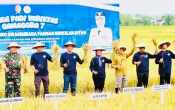 Panen Perdana Gamagora 7, Ini Strategi Bojonegoro Menuju Swasembada Pangan