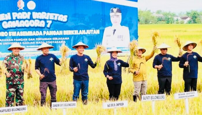 Panen Perdana Gamagora 7, Ini Strategi Bojonegoro Menuju Swasembada Pangan