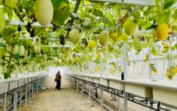 E2E5BC37 0B62 4188 8D9D EFE62CD3F516