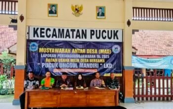 7F30CAFE 31CD 433F 9D93 D4C712C7070D