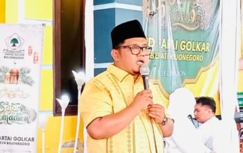 D5E38431 FD65 4279 A0C7 3F57F543698F