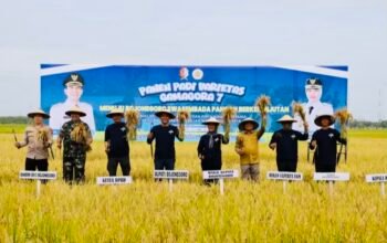 F525AC20 3685 4733 8EB3 A8F09ABD2548