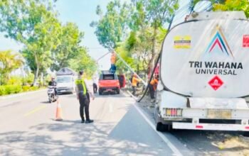 0D69D5E9 A4B6 4C81 B4C1 1E90D928851C