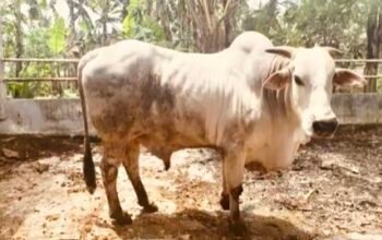 1D36947E 88FD 426D B287 6D06B5CB2180