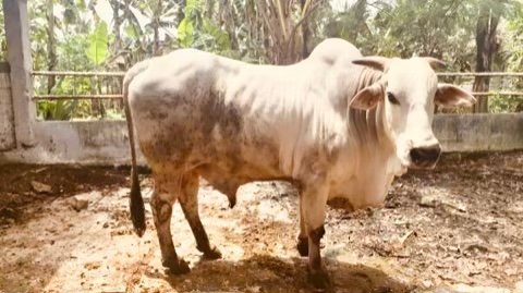 1D36947E 88FD 426D B287 6D06B5CB2180