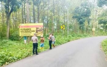 26AE9688 DD48 475C BA2F 7DD835F705E3