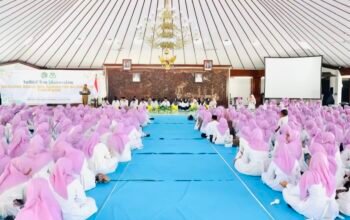 2F3C3498 99D8 4778 93D7 04296D3E1581