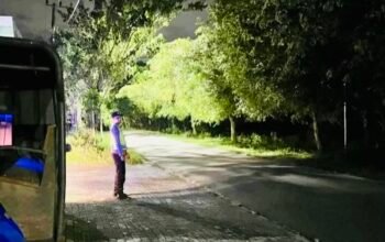 38B04C97 6BA9 4CB7 A282 FD662C67B9EE