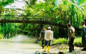 4AC66D39 DB42 4561 B8A8 B1412B8B9B1D