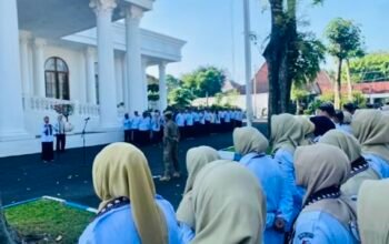 62C48392 CA48 4DD6 AD22 B5D0FC64C52B