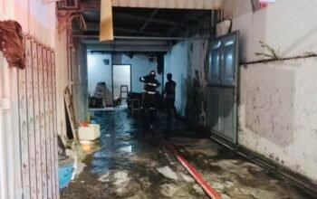 8C9EA513 52B8 4D92 AEE8 5DC50C97AF8E