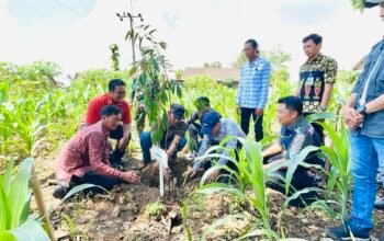 Nggon Sahdu: Strategi Gondang Bojonegoro Bangun Desa Wisata Durian