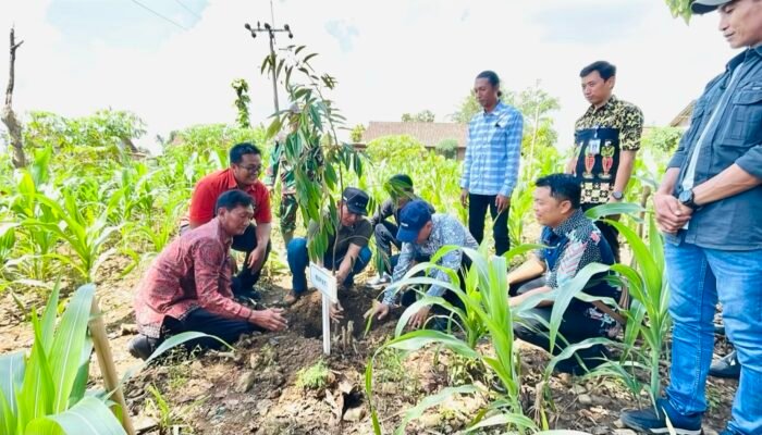 Nggon Sahdu: Strategi Gondang Bojonegoro Bangun Desa Wisata Durian