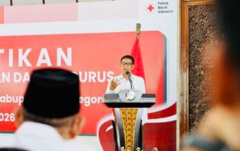 996ECD1A 35AC 4831 BED1 E9995231FE3E