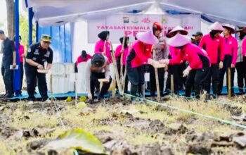 9DB475AA 5C90 4205 BFDA DBB8A0E92737