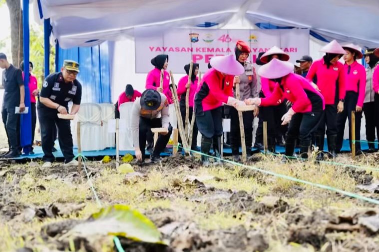 9DB475AA 5C90 4205 BFDA DBB8A0E92737