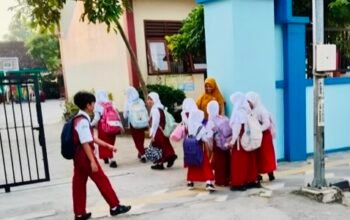 B4789271 B447 480E 809F BEB5F2B7E799