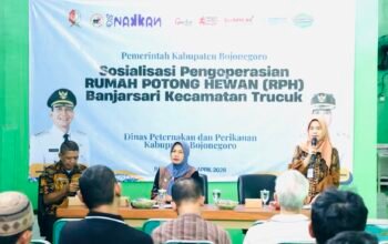 C2A7D696 1DD1 4C5E 8072 468F1E1666B5