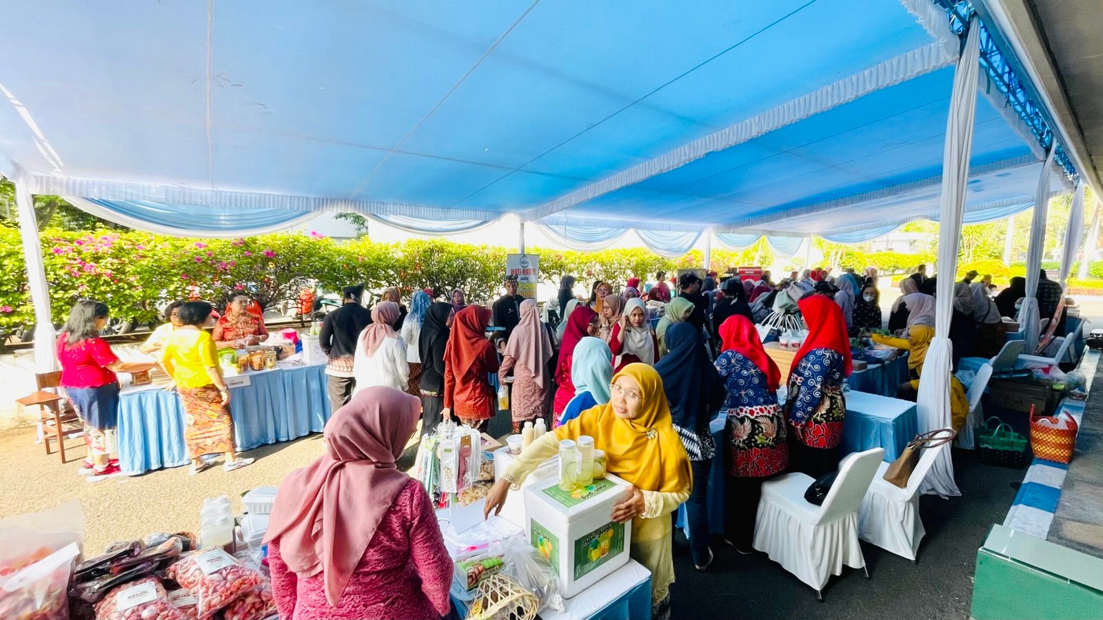 E22617C1 E86A 42D5 B23C 7C0872DD52FF