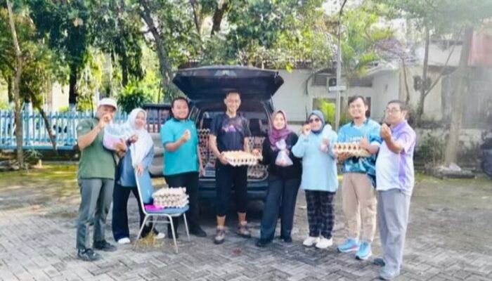 Telur Gayatri Bojonegoro Kini Tersedia di Disnakkan dan CFD