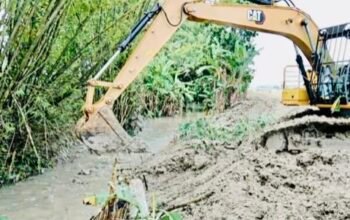 FCF84BFB 7BED 44FF B8F5 66AFC0BC89CD