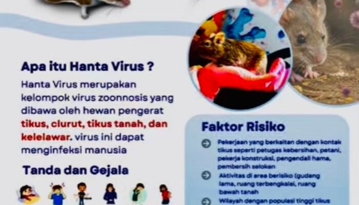 Waspada Hantavirus! Dinkes Bojonegoro Imbau Jaga Kebersihan Rumah