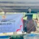 Tembus 1 Ton, Ini Sapi Kurban Presiden Prabowo di Bojonegoro