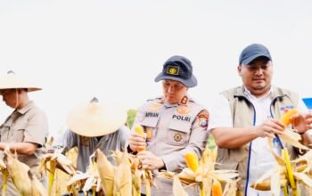Polres Bojonegoro Ikuti Panen Raya Jagung Serentak secara Virtual