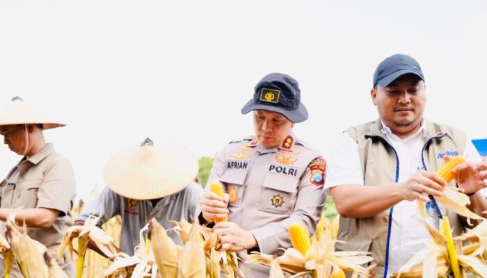 Polres Bojonegoro Ikuti Panen Raya Jagung Serentak secara Virtual