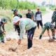Gercep Bantu Warga, Babinsa Bubulan Bojonegoro Turun Tangan Uruk Jalan Dusun